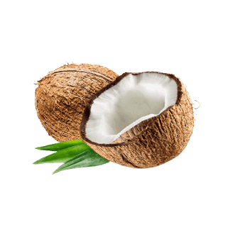 Coconut, Indonesia